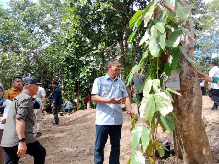 5 Hal Ini Harus Dilengkapi, Sebelum Kebun Raya Difungsikan