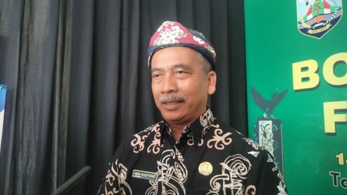 DPKP Temukan 548 Babi di Malinau Mati, Disebabkan Virus ASF