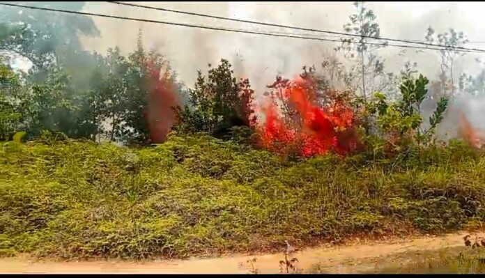 Listrik Padam di Sebagian Wilayah Tanjung Selor