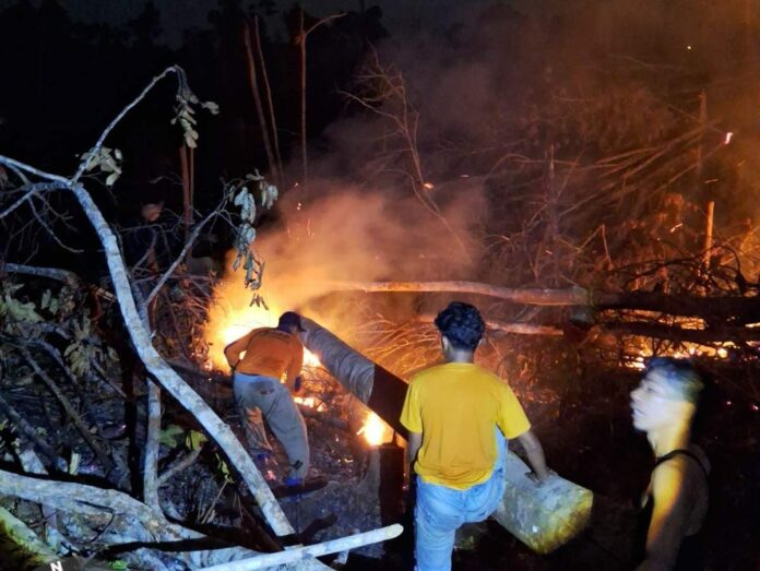 Cuaca Ekstrim, Karhutla Diperkirakan Bakal Terus Berlanjut