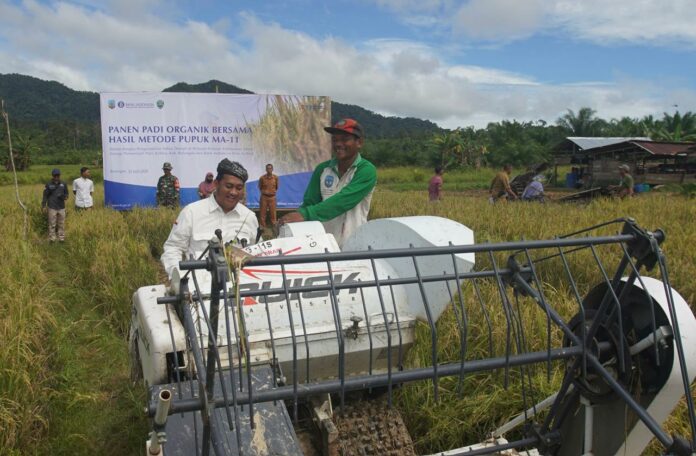 Tiga Lapangan Usaha Penyumbang Pertumbuhan Kredit di Kaltara