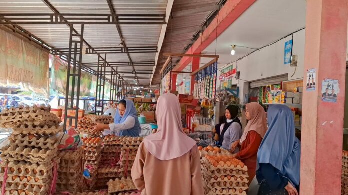 Produksi Telur Ayam Buras di Kaltara Menurun