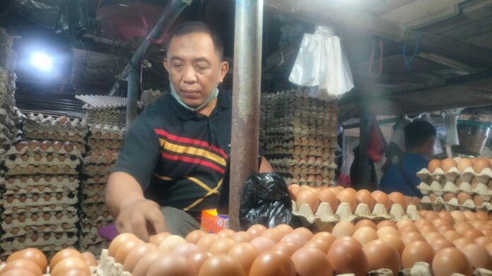 Pasca Nataru, Harga Telur dan Ayam Potong di Kota Tarakan Belum Juga Turun