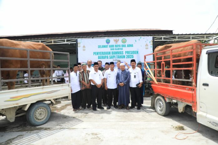 Bupati Bulungan Serahkan Sapi Kurban Bantuan Presiden untuk Iduladha 2025